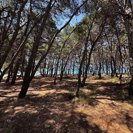 Innova Travelvir - Mobhome Mirasol