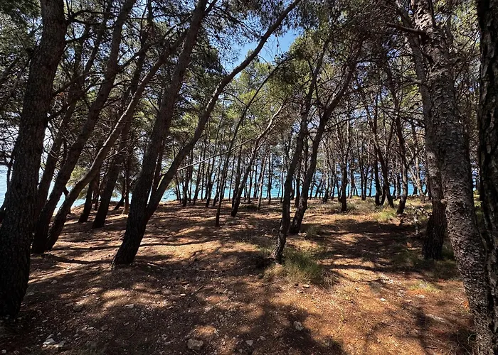 Innova Travelvir - Mobhome Mirasol